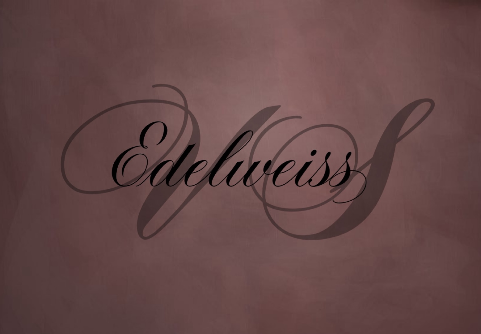 Абонемент 12 занятий