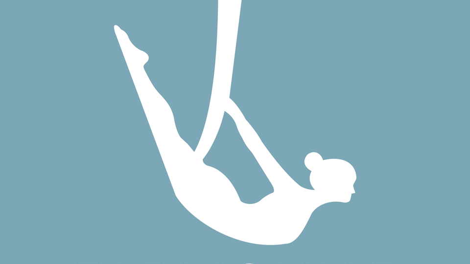 Студия fly-йоги "Гармония"