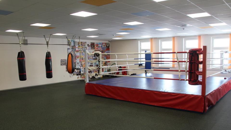 ЦСП ЗАРЯ: бокс