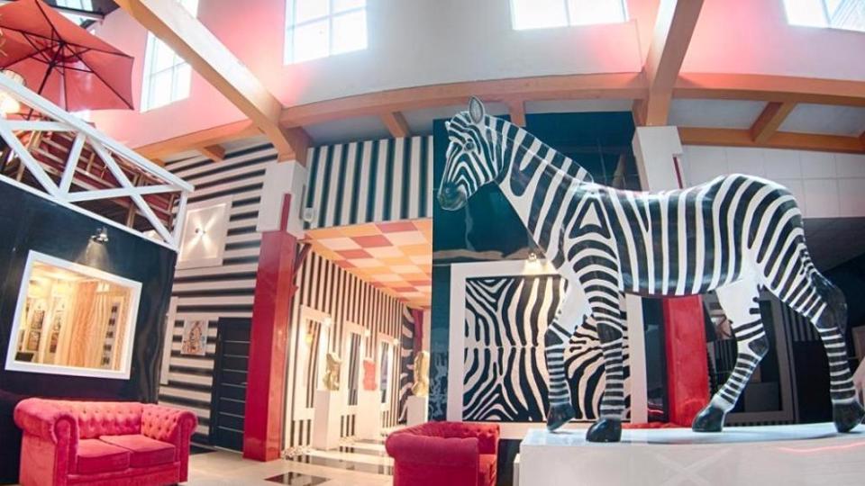 Зебра, м. Ленинский проспект