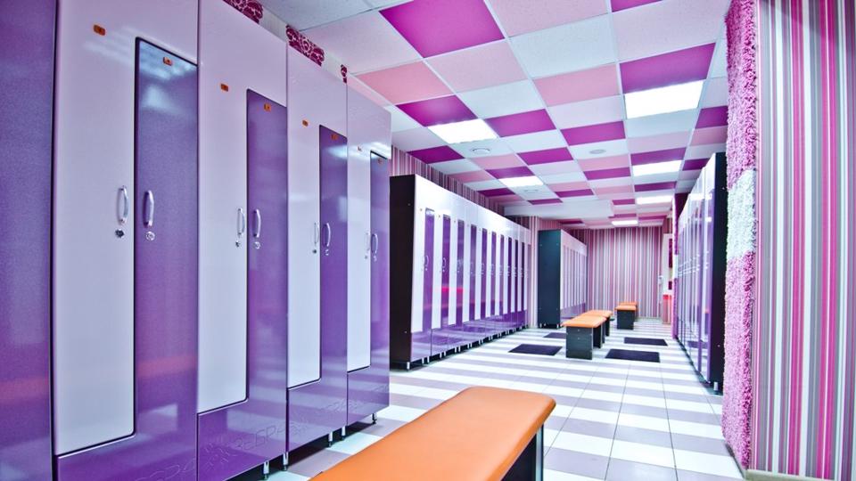 Зебра, м. Бабушкинская