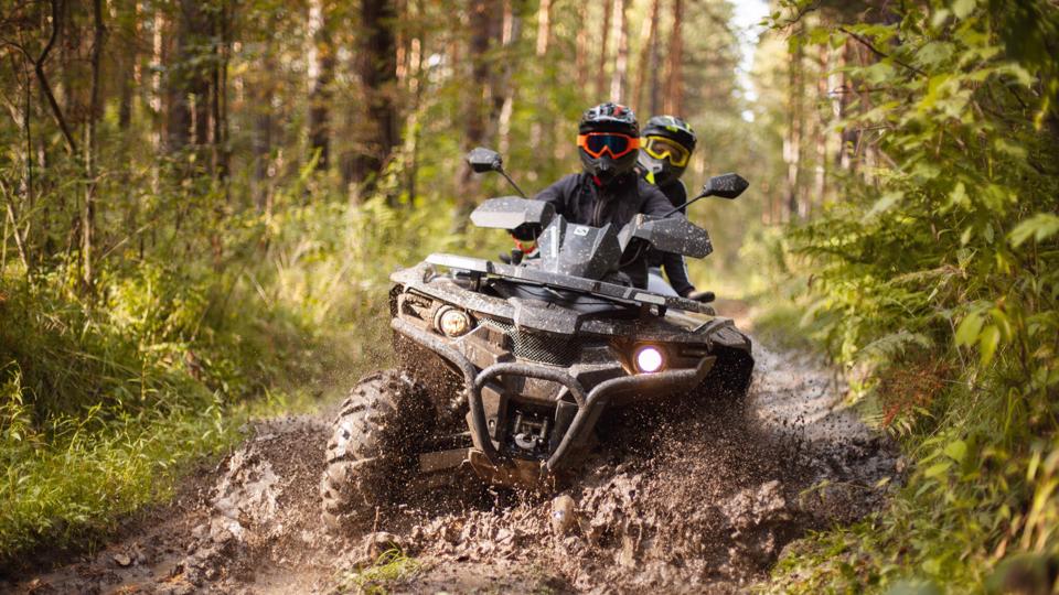 Лесной патруль