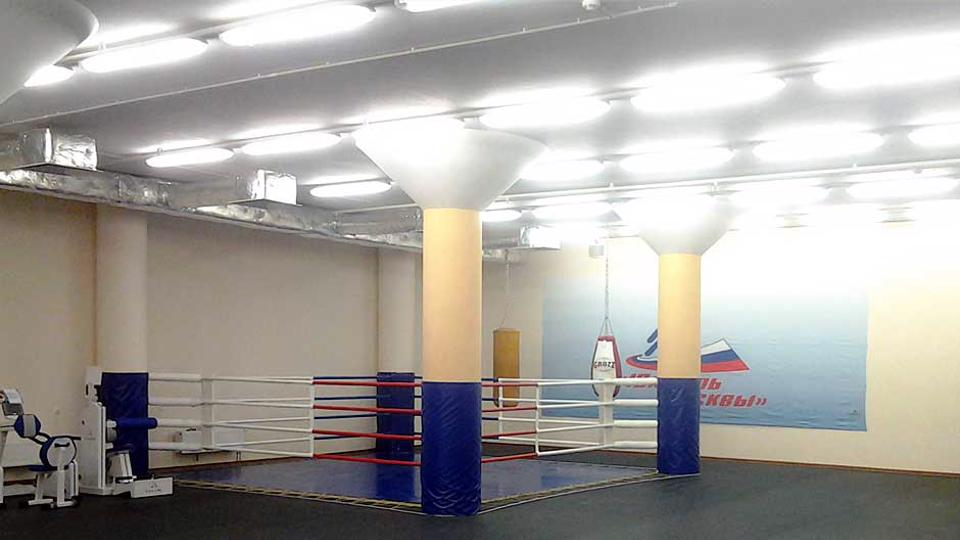 ElitBoxing, м. Динамо