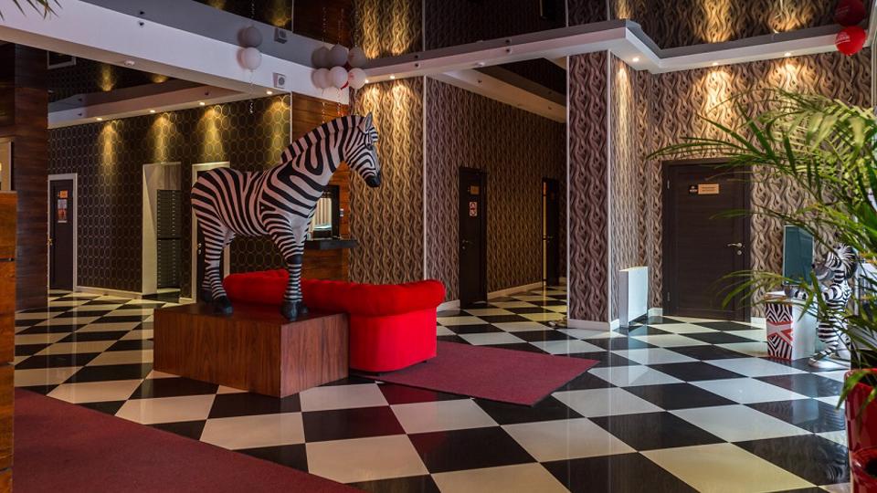 Зебра, м. Дубровка