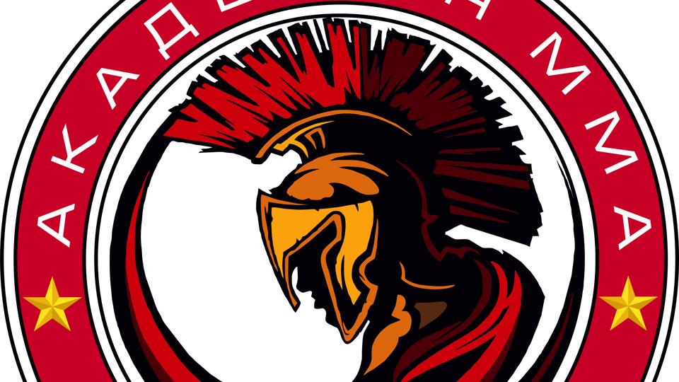 Академия ММА