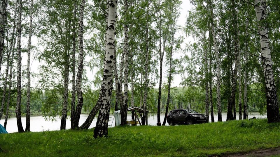 «Чистые Пруды Сибири»