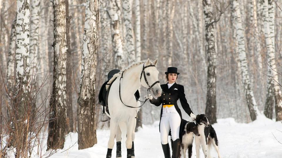 Сосновый бор