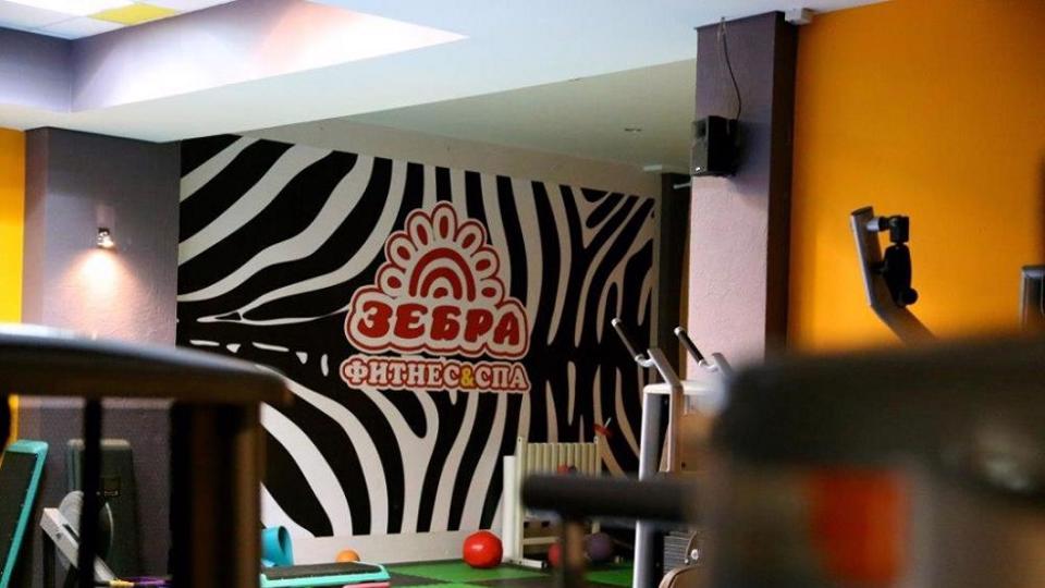 Зебра, г. Щёлково