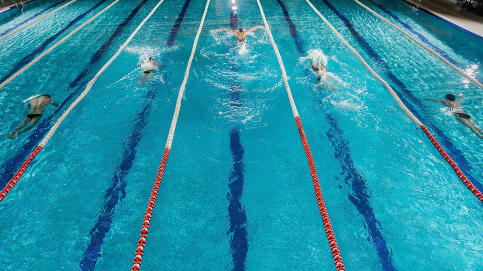 Школа плавания Мутина Павла