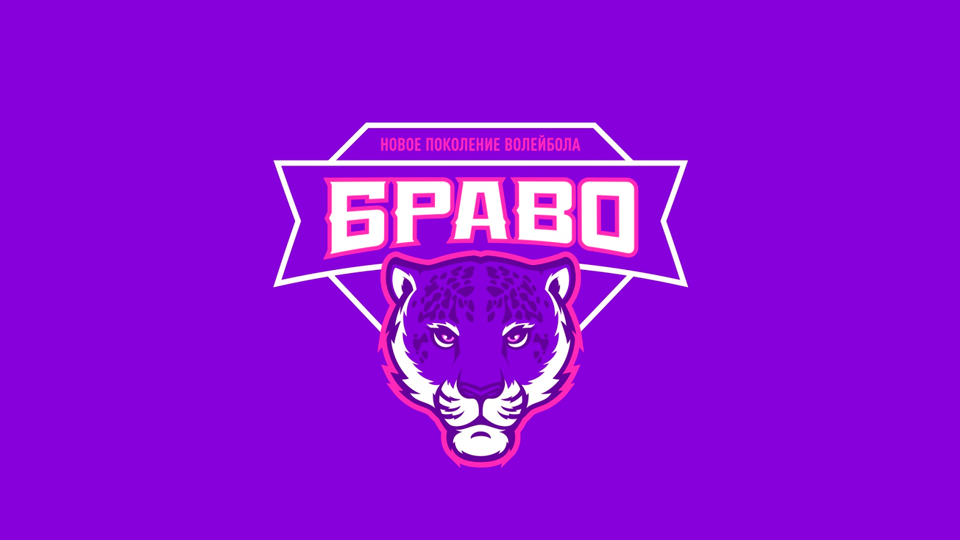 Школа по волейболу «Браво»