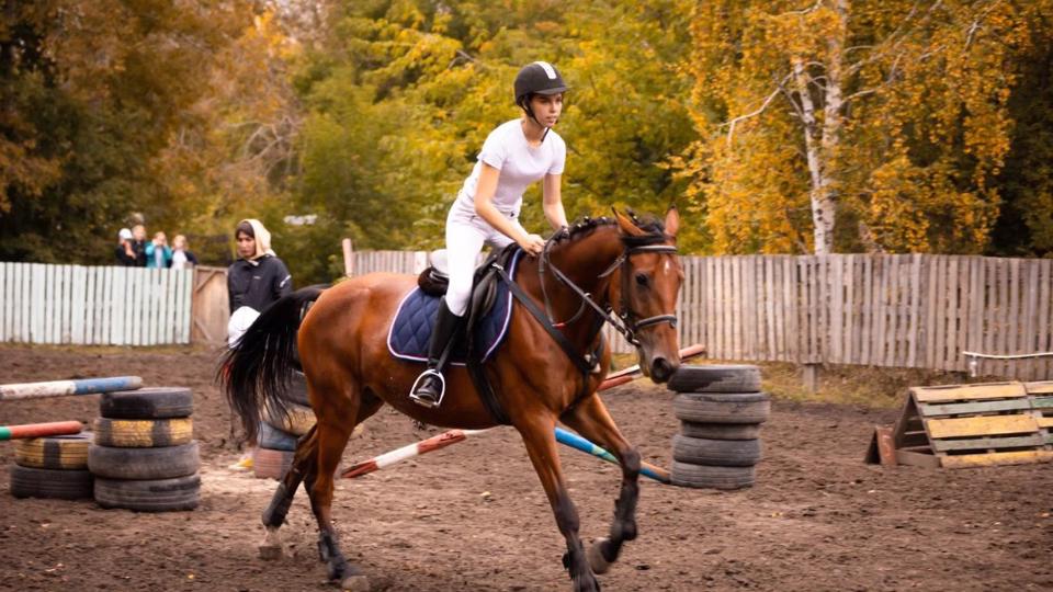 клуб любителей лошадей и верховой езды РАНЧО ЗАБАВА