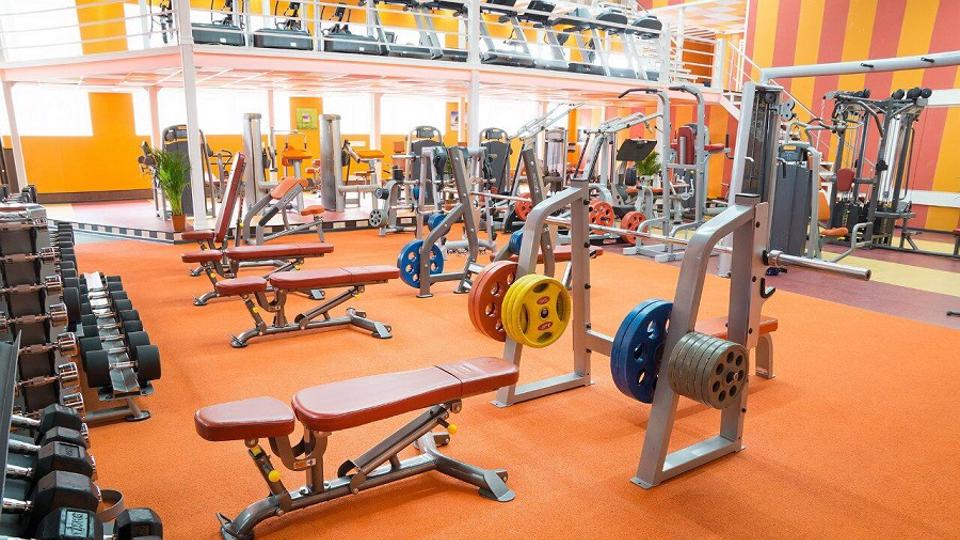 Зебра, м. Павелецкая