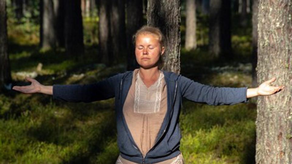 Центр целостного движения