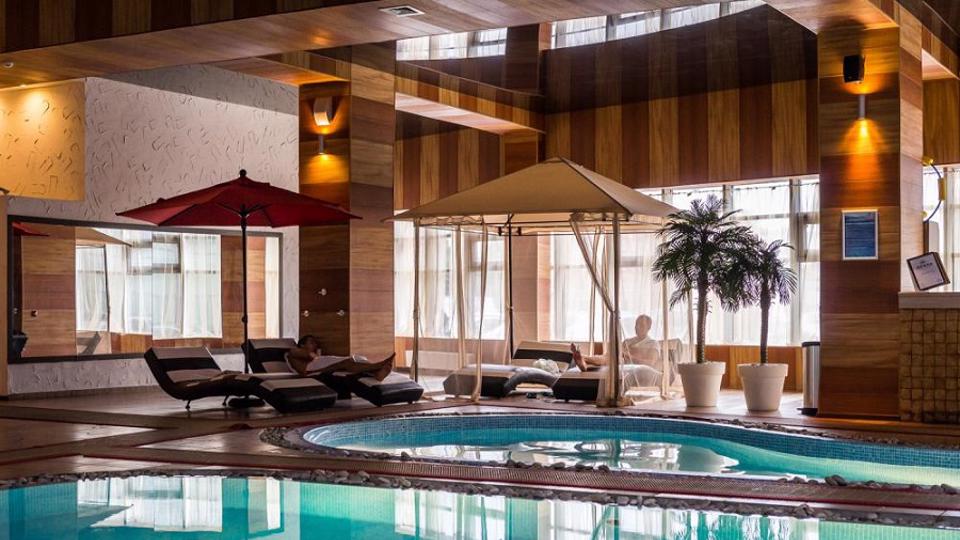 Зебра Олимпийский