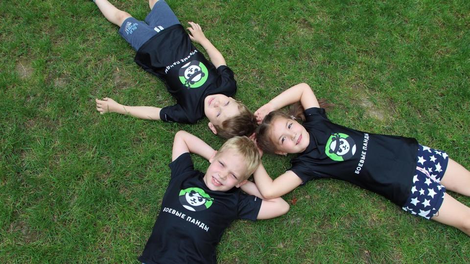 Боевые панды