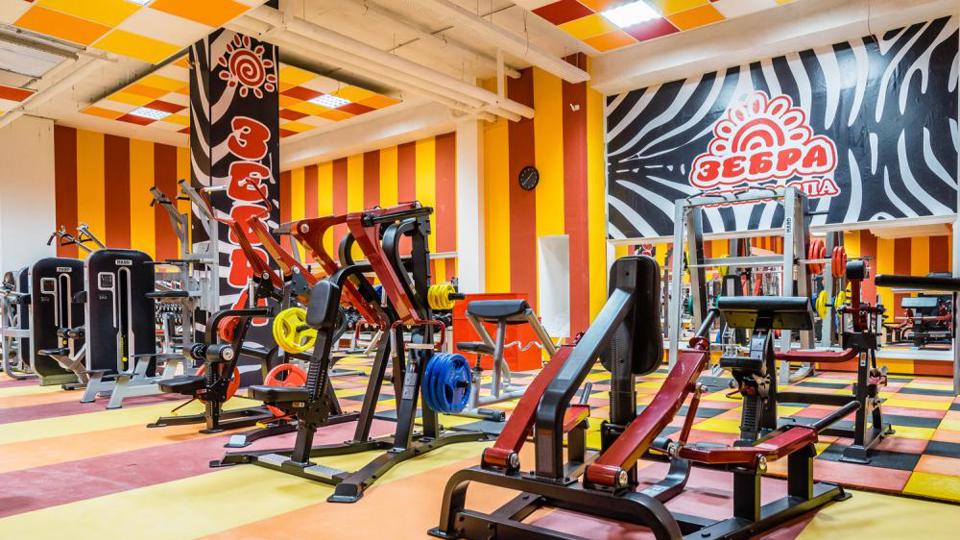 Зебра, м. Лихоборы