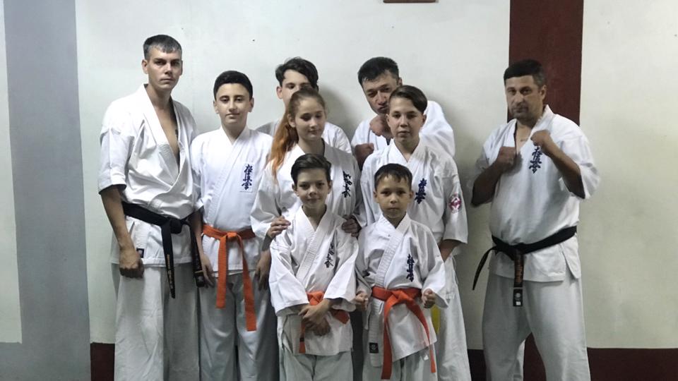 Северный волк