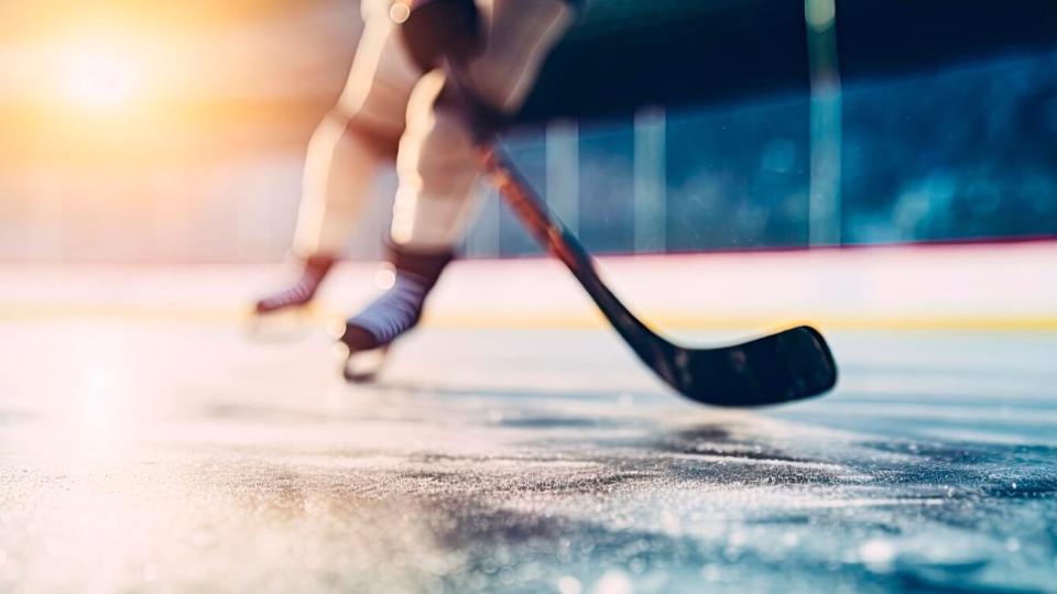 ЦСП ЗАРЯ: хоккейная коробка