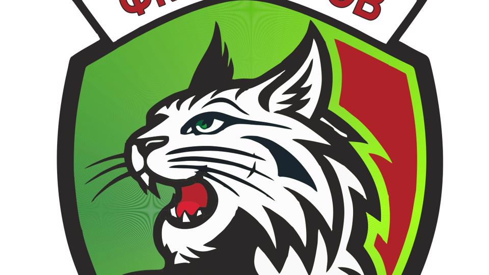 ФК «Саратов»