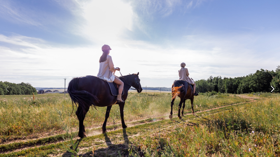 Конно-спортивный клуб «Радужный»