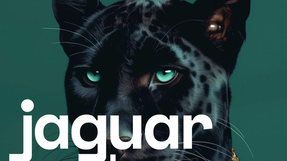 Jaguar Dance, студия танца в Перми