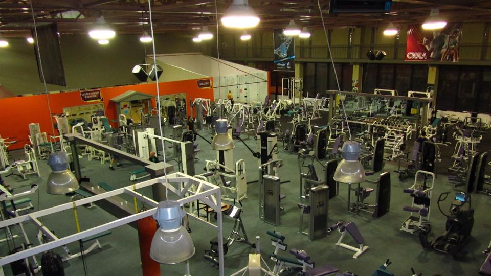 Gold’s Gym Динамо