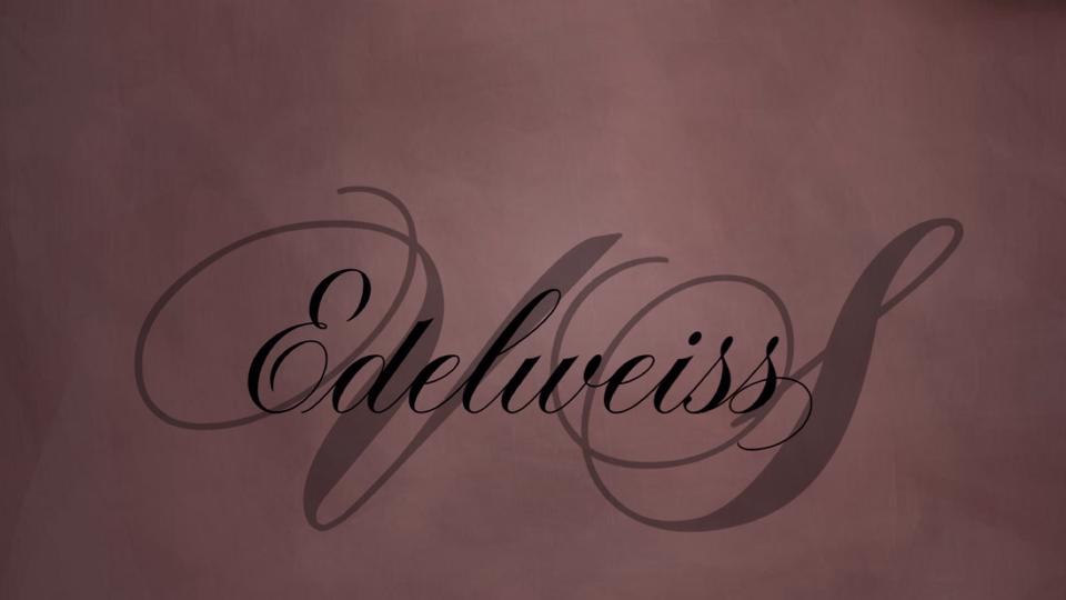 Студия танцев «Edelweiss”